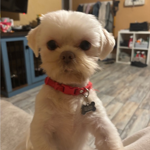 Meet your Posher, Jessica. I’m an ER nurse that likes to thrift. - Picture 7 of 7